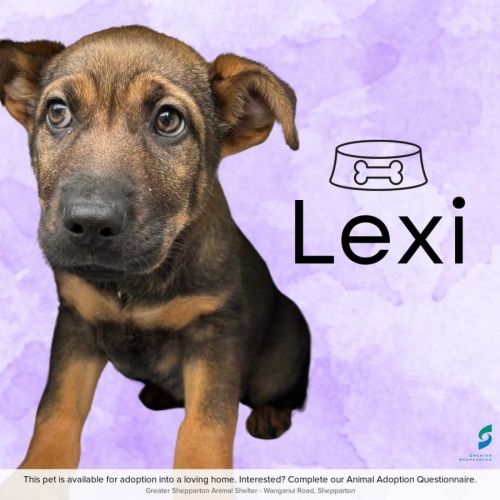 Lexi