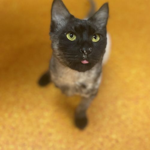Eugene