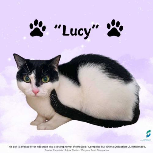 Lucy