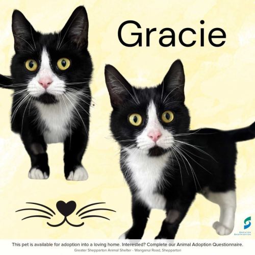 Gracie