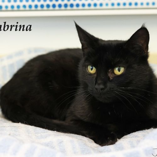 Sabrina