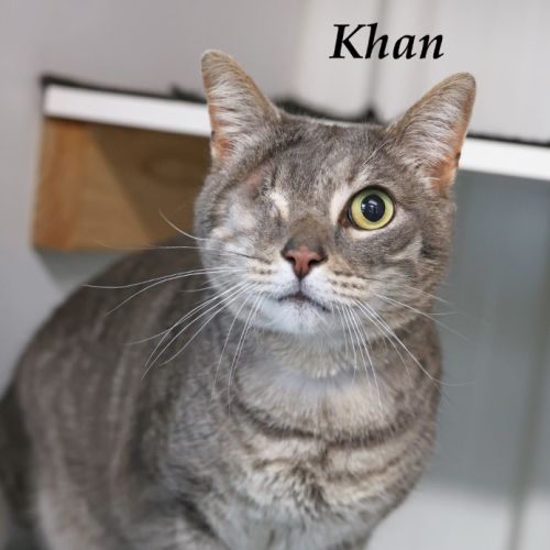 Khan