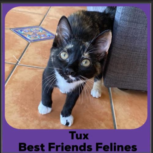 Tux
