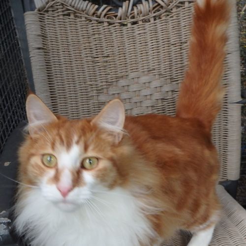 No photo for Edward And Bryce