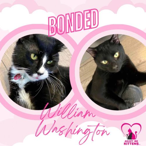 William & Washington