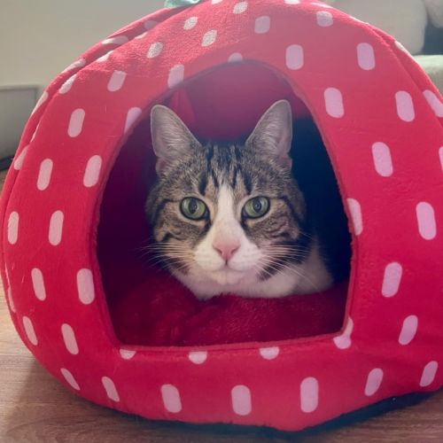 Pia - Located in Doreen