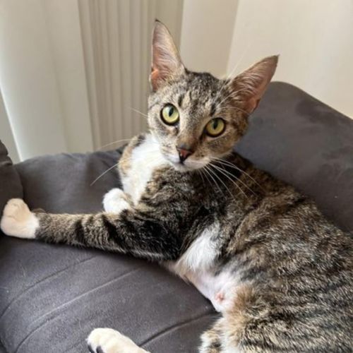 No photo for Mumma June