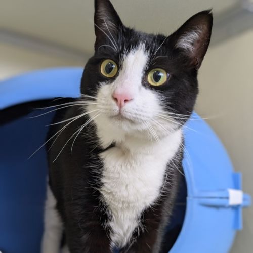 🍫 Tim Tam 5572 🍫