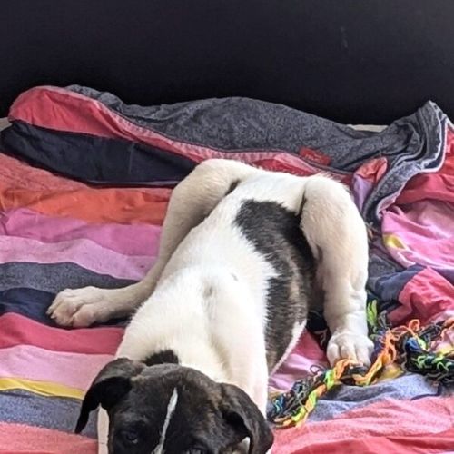 Winnie
