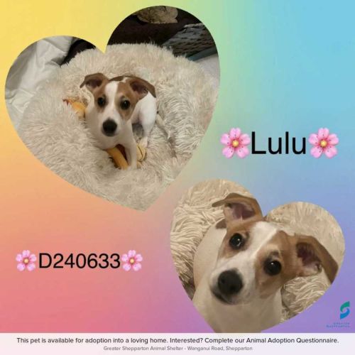 Lulu