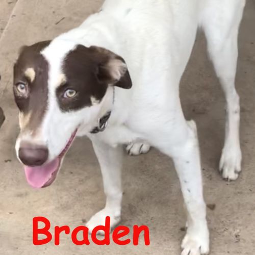 Branden