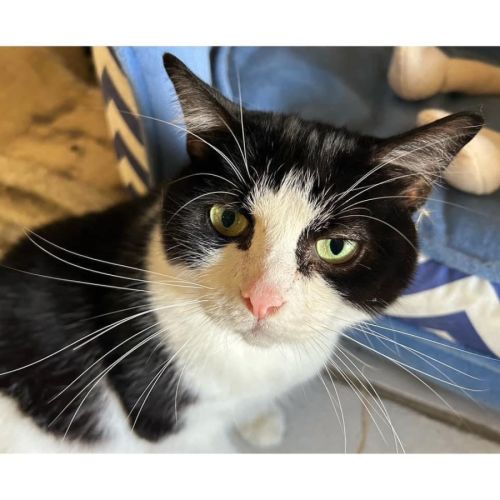 No photo for 10084   Miracle