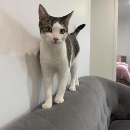 No photo for Galileo