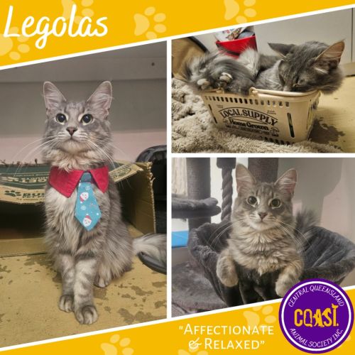 Legolas