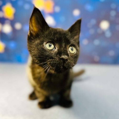 Barry - Located in Preston 