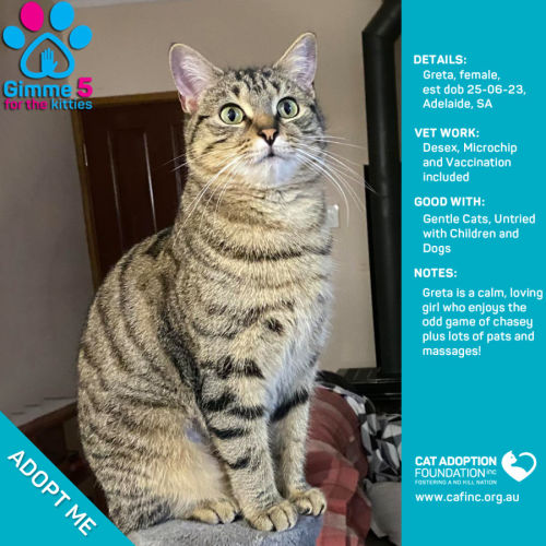 Greta Only $39 Limited Time!