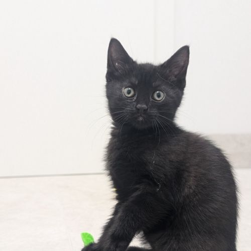 River Meet me @ Petstock Hastings store