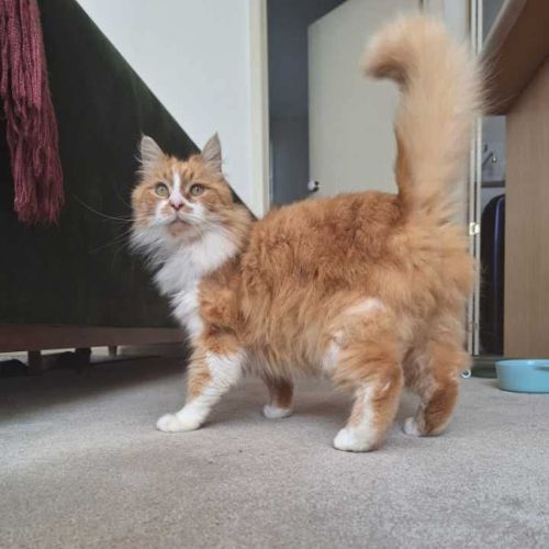 No photo for 😻 Eugene (Gene) 