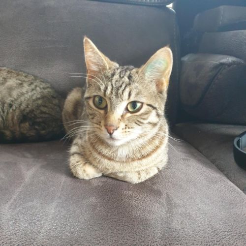 Precious