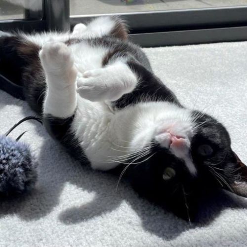 No photo for Penelope Babbington