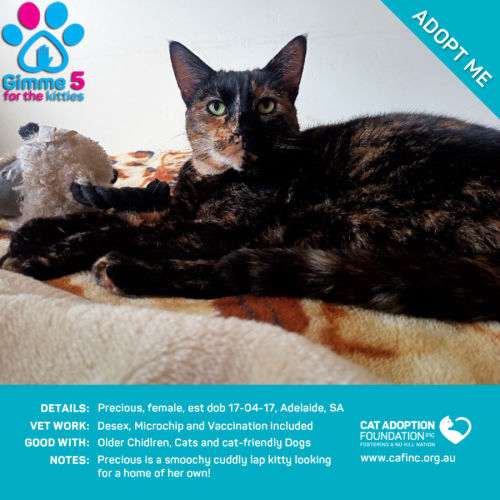 Precious Only $39 Limited Time!