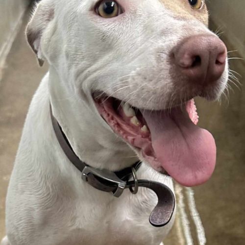 Ms Marshmellow Squishy bum ( Marsha for short)