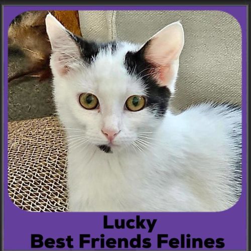 Lucky