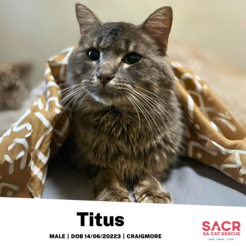 Titus