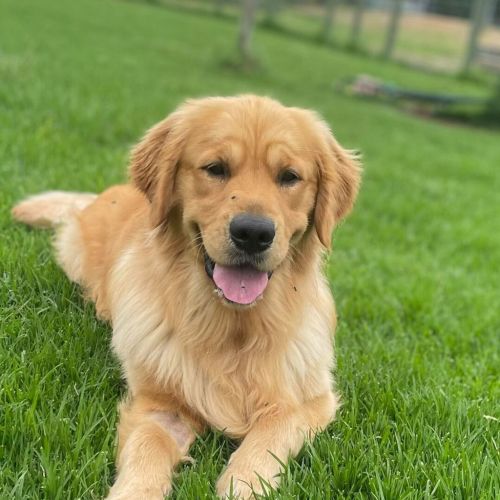 Milo