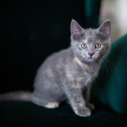 Hilary - Located in Surrey Hills