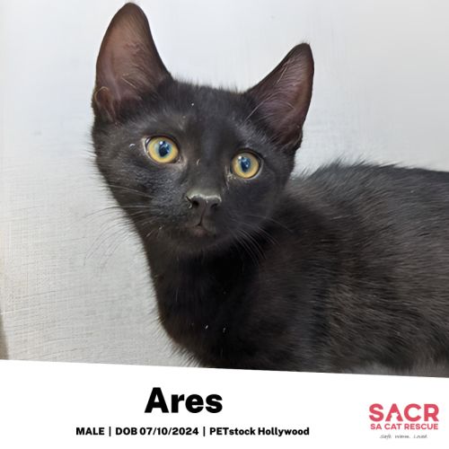 Ares