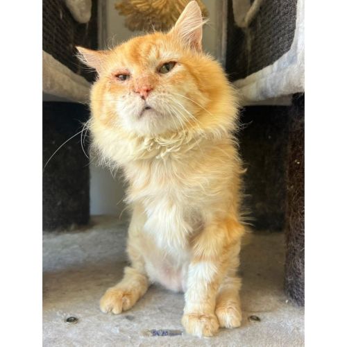 11114 - Neil Catrick Harris