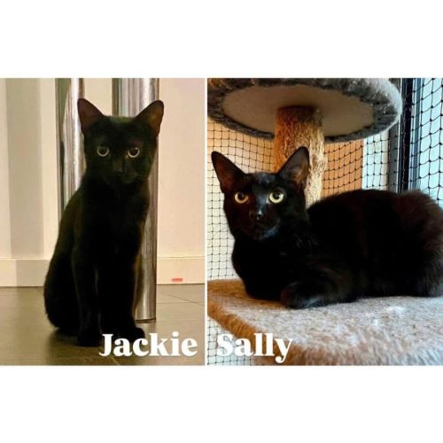 11100/11099 - Jackie & Sally