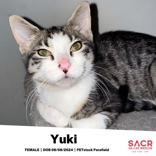Yuki