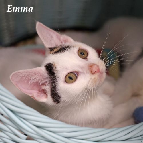 Emma