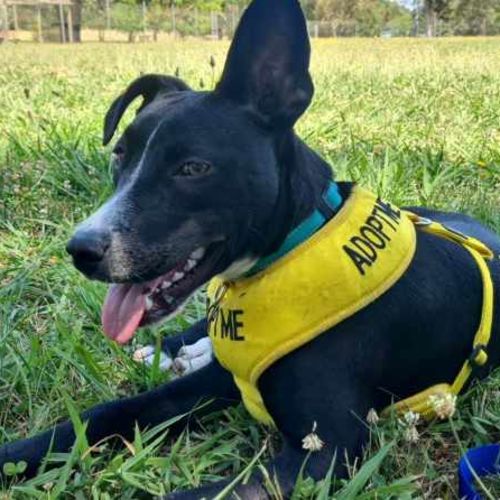 No photo for Destiny