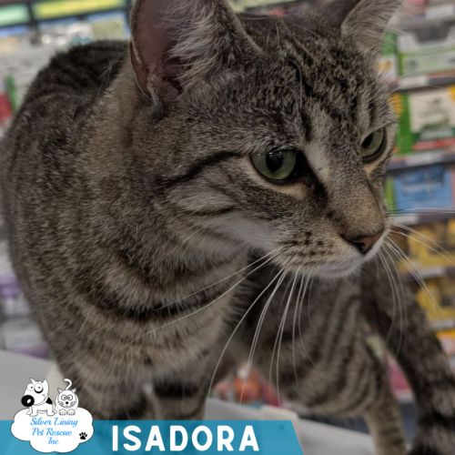 Isadora