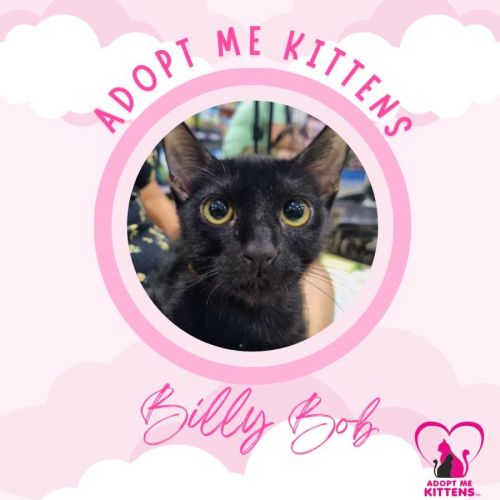 Billy Bob