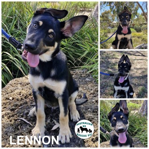 Lennon 