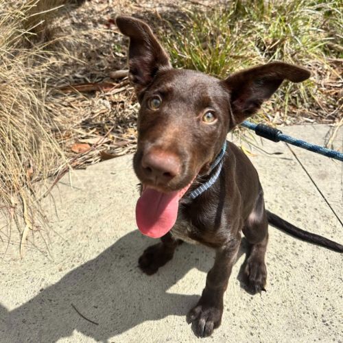 🥯 Bagel 5769 🥯