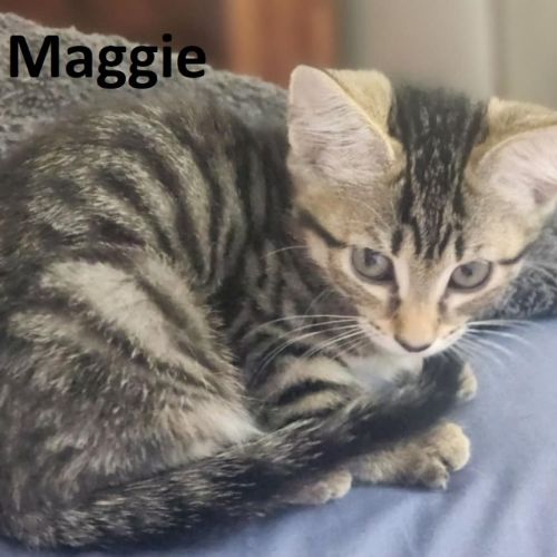 Maggie