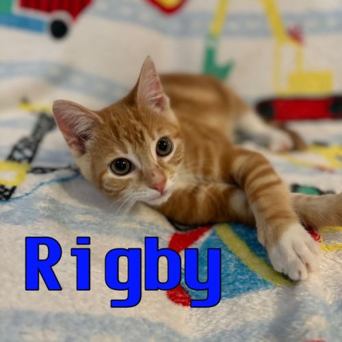 Rigby