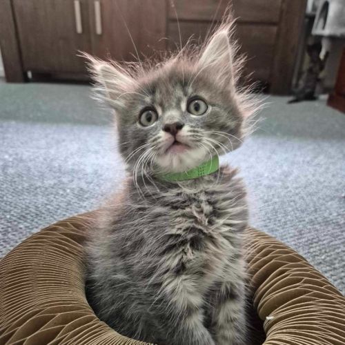 Stormy