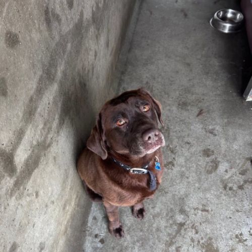 Milo