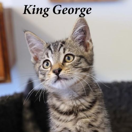 King George