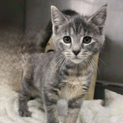 Vicki - Located in Pakenham