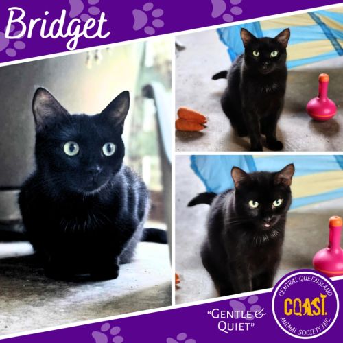 No photo for Bridget