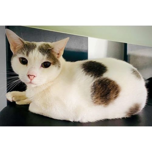 No photo for 9384 Jeffrey