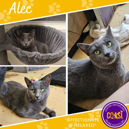 Alec