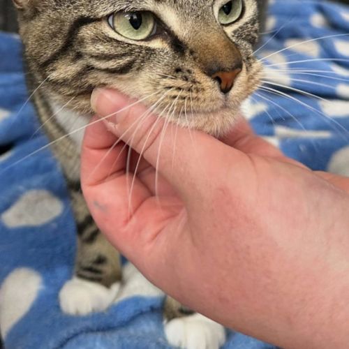 April - Now at PET Quarters Morisset